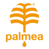 cropped-palema-favicon-scaled-1.webp
